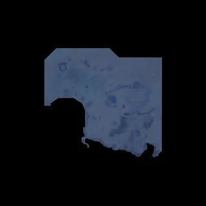 Stellar Blade interactive map